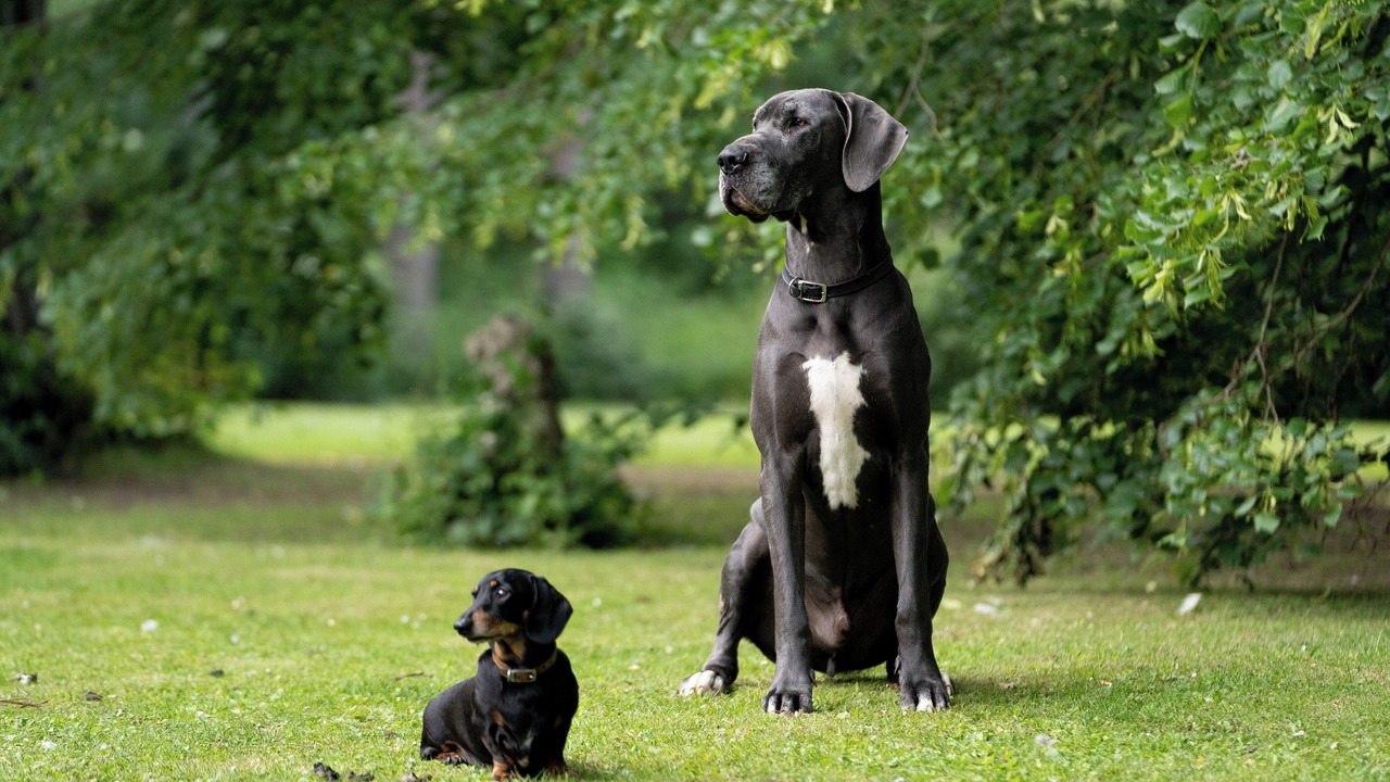 Photo of Outdoor in Penwood