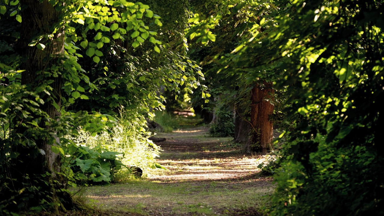 Photo of Outdoor in Penwood