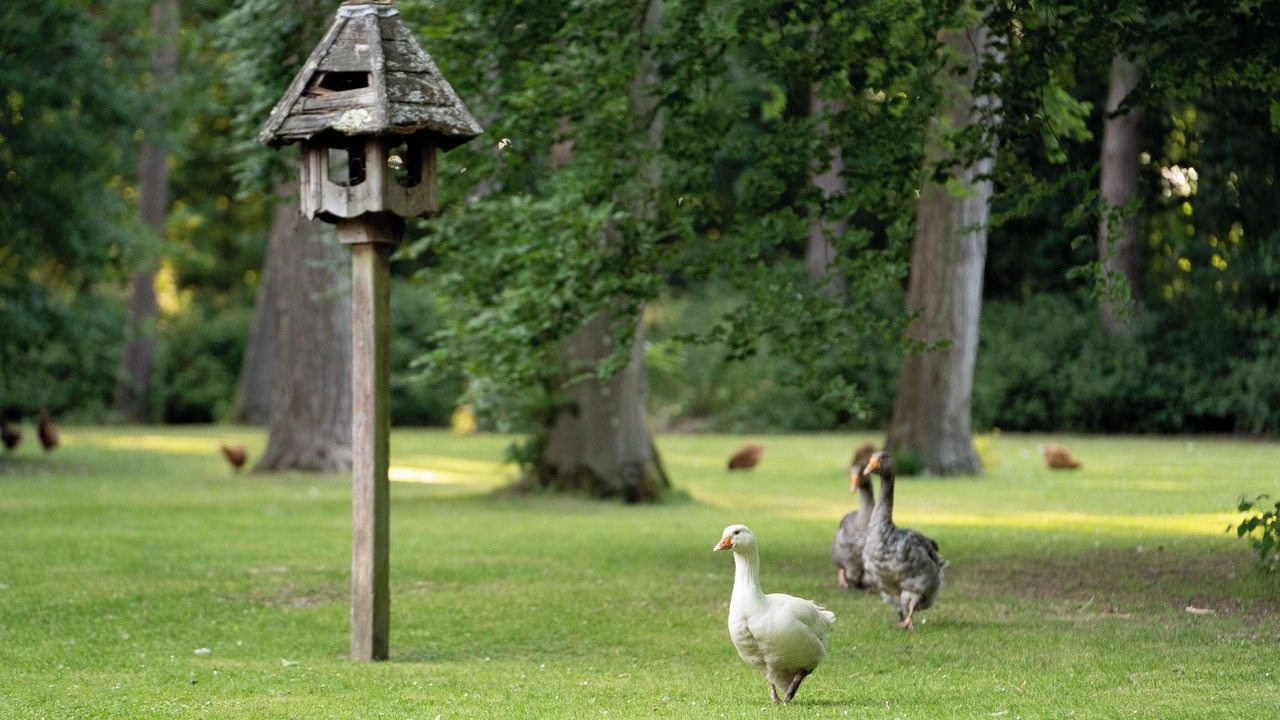 Photo of Outdoor in Penwood