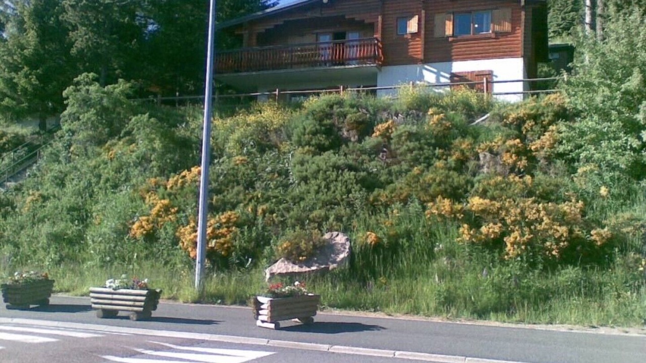 Photo of Outdoor in Pyrenees 2000