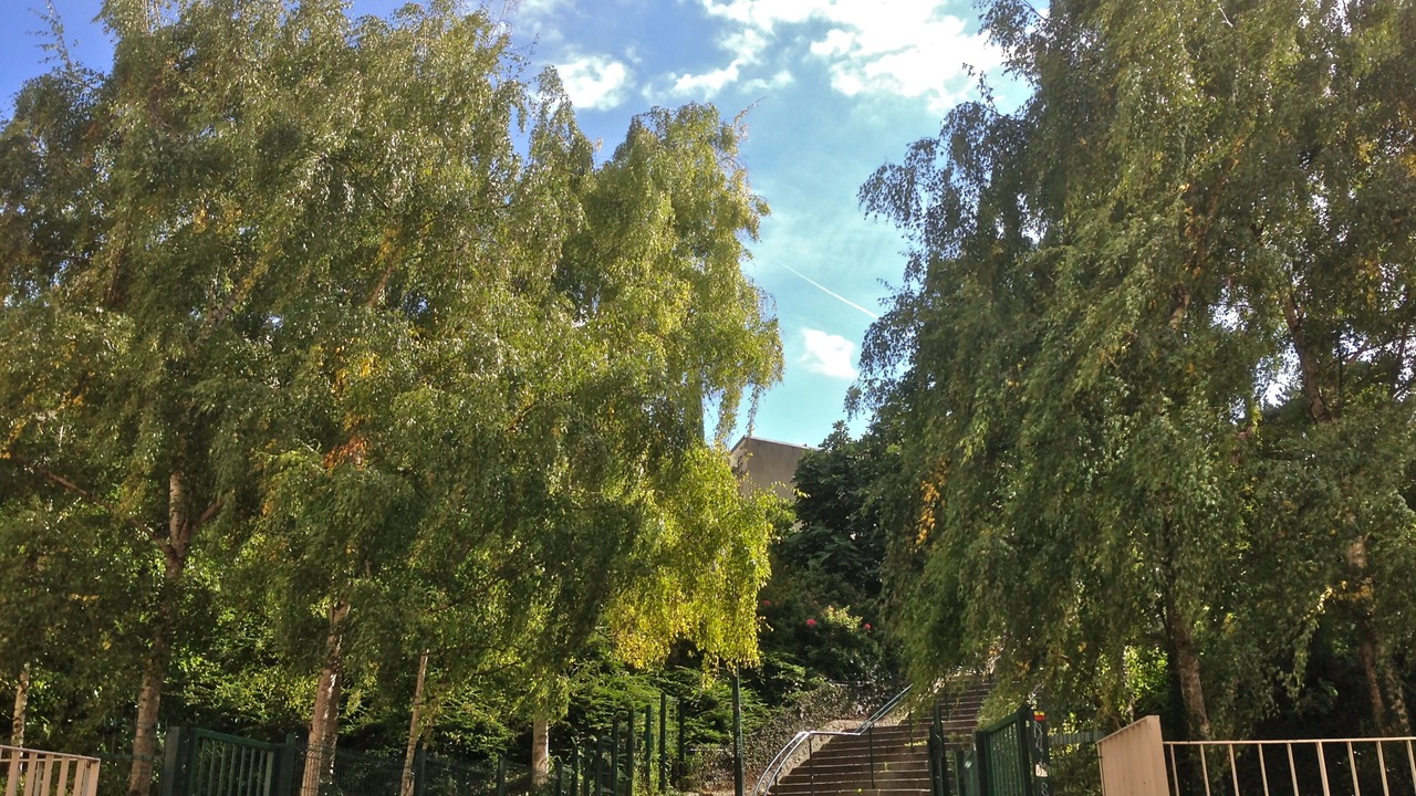 Photo of Outdoor in Butte-aux-Cailles