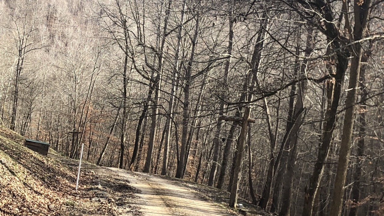 Photo of Others in Irvine