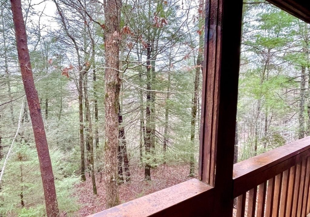 Photo of Others in Tellico Plains