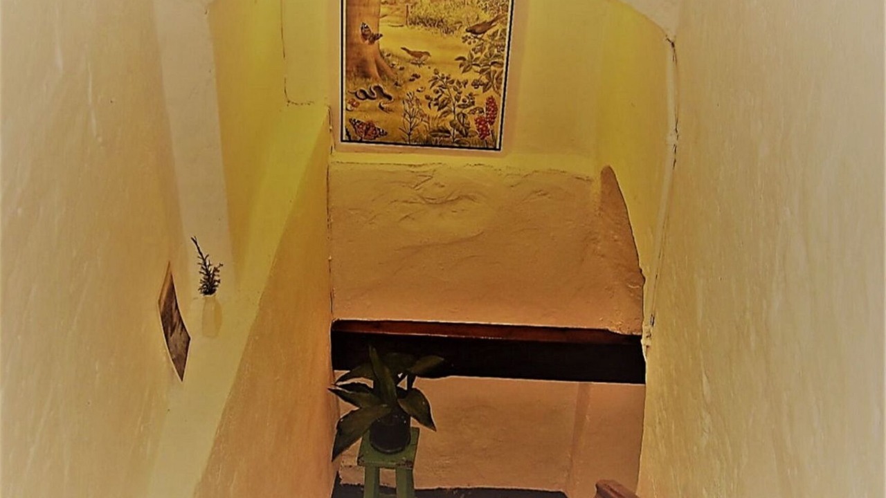 Photo of Others in Argelaguer