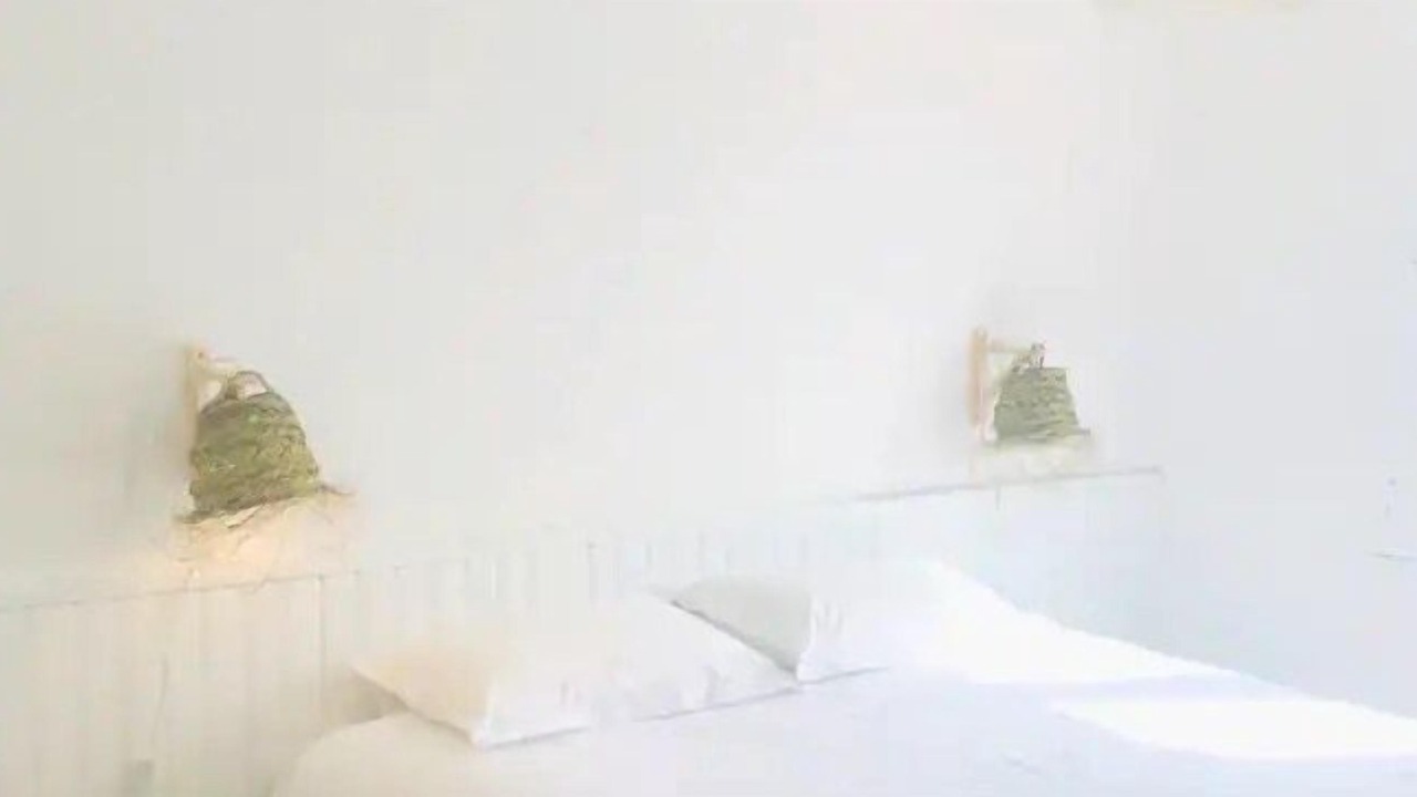 Photo of Bedroom in Jullouville