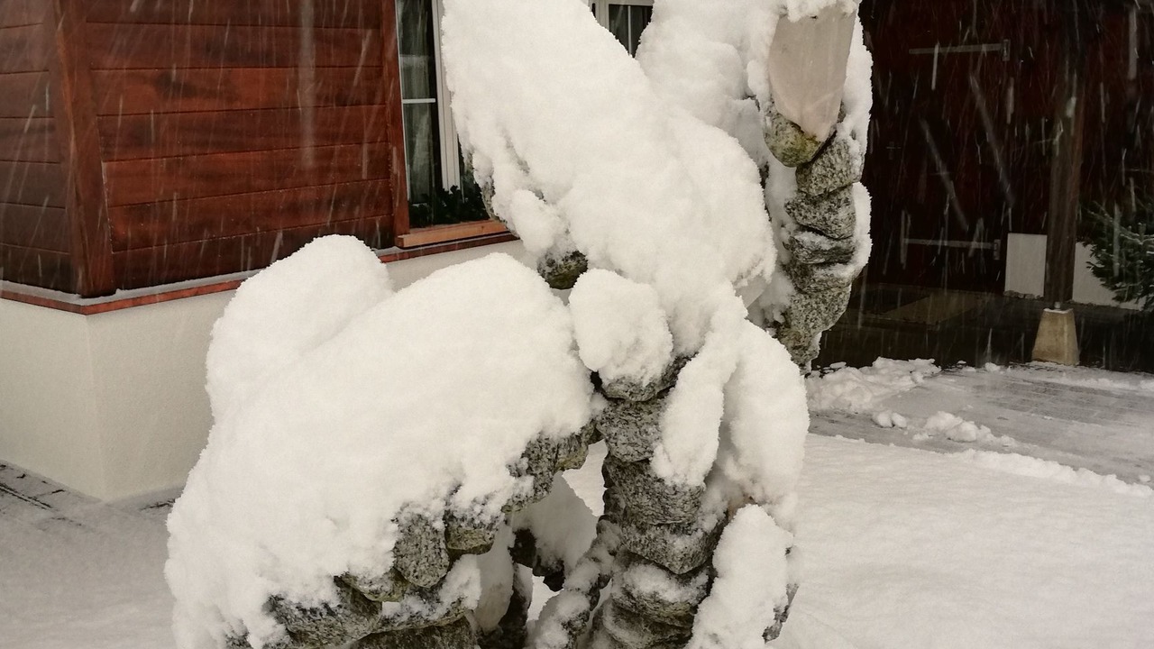 Photo of Outdoor in Meiringen
