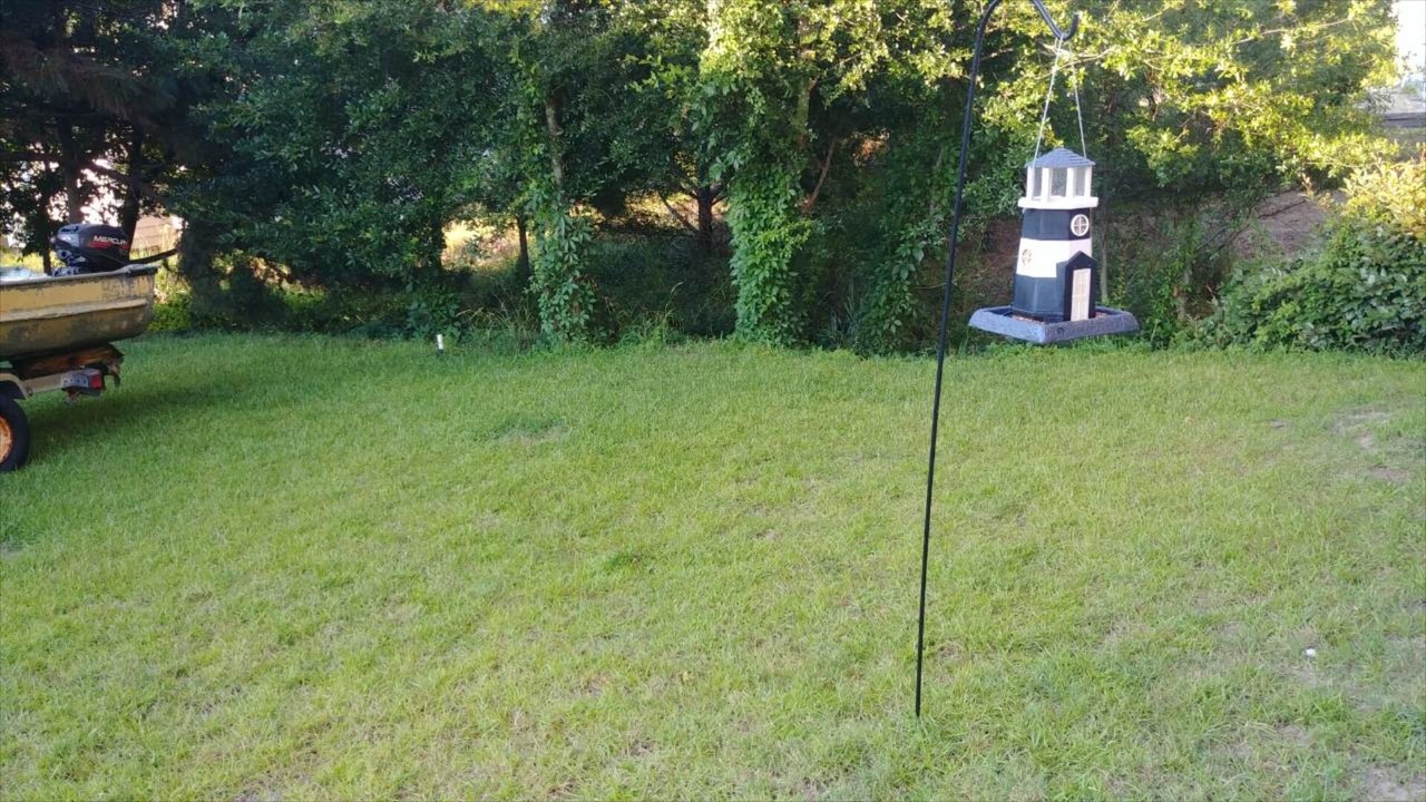 Photo of Outdoor in Colington