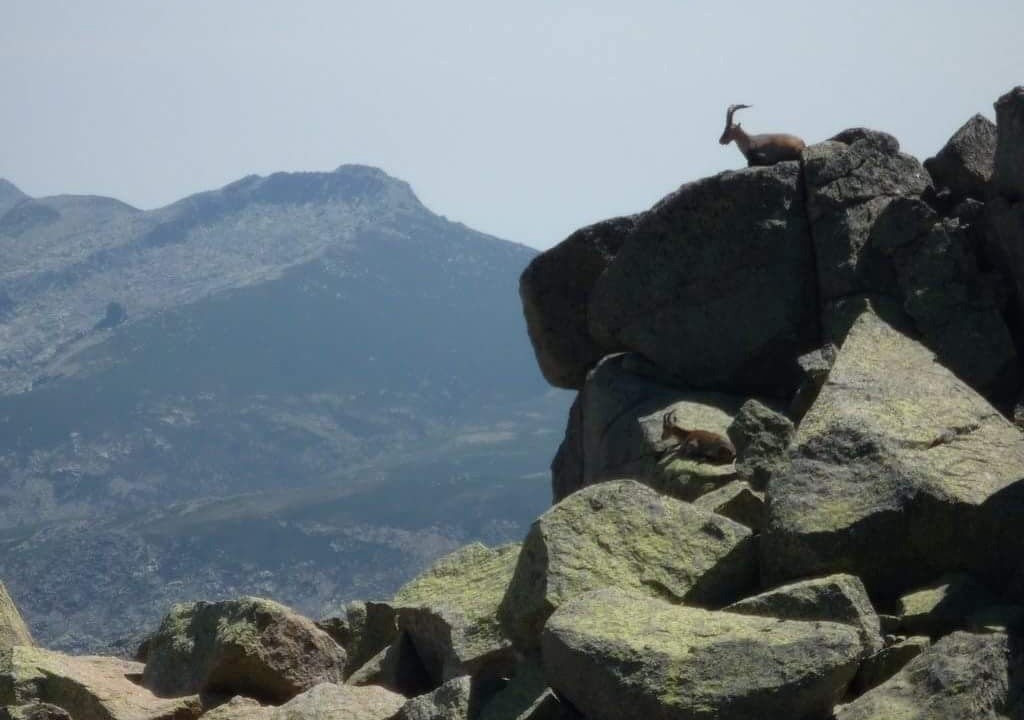 Photo of Others in Cabezas Altas