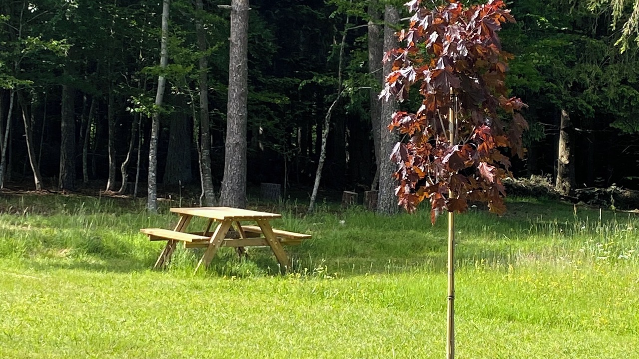 Photo of Outdoor in Lachapelle-Graillouse