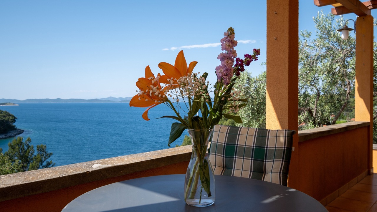 Photo of Others in Island Dugi Otok