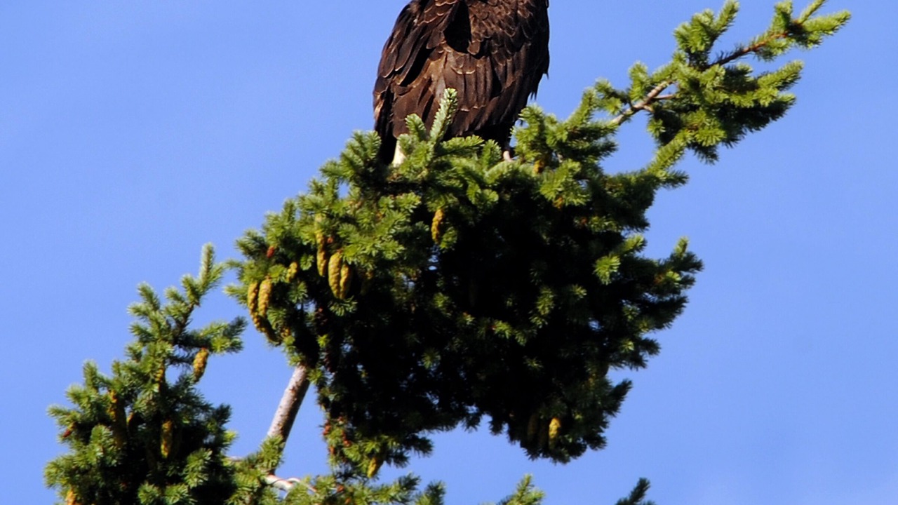 Photo of Others in Blaine