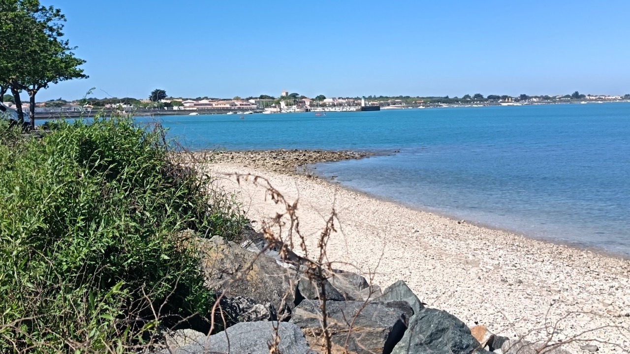 Photo of Others in La Flotte