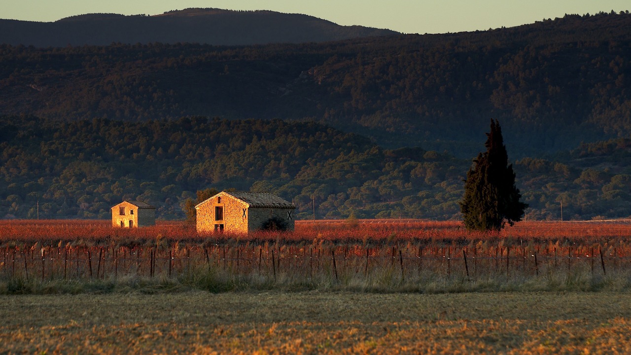 Photo of Outdoor in Caunes-Minervois