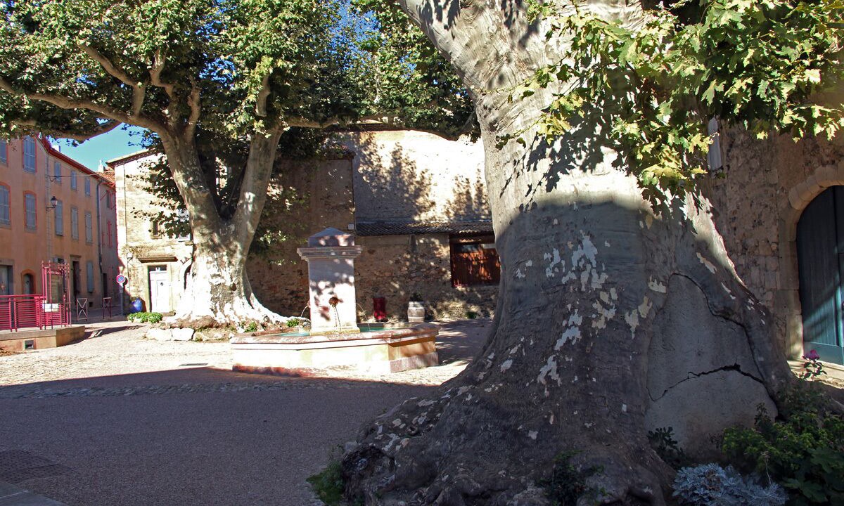 Photo of Outdoor in Caunes-Minervois