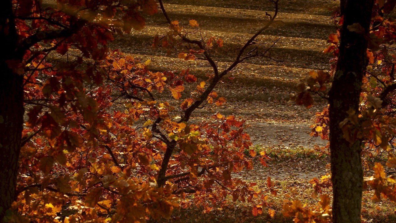 Photo of Outdoor in Caunes-Minervois
