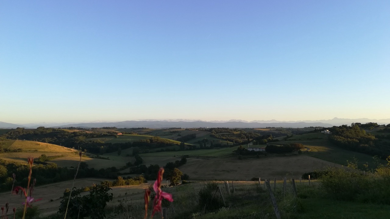 Photo of Others in Gaillac-Toulza