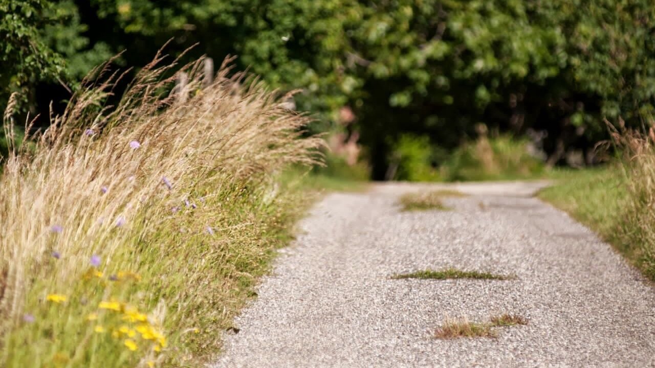 Photo of Outdoor in Gaillac-Toulza