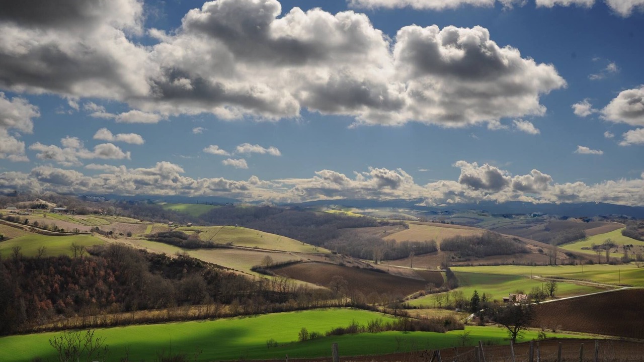 Photo of Others in Gaillac-Toulza