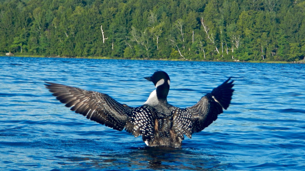 Photo of Others in Freedom