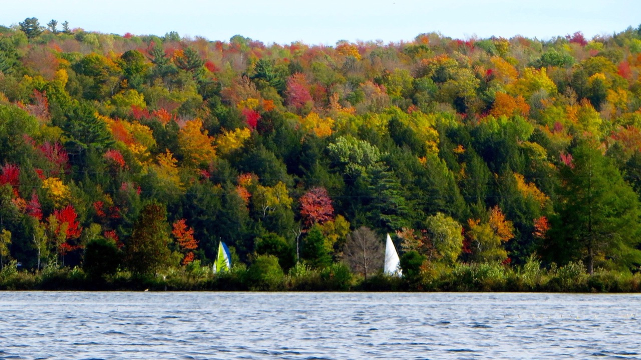 Photo of Others in Freedom