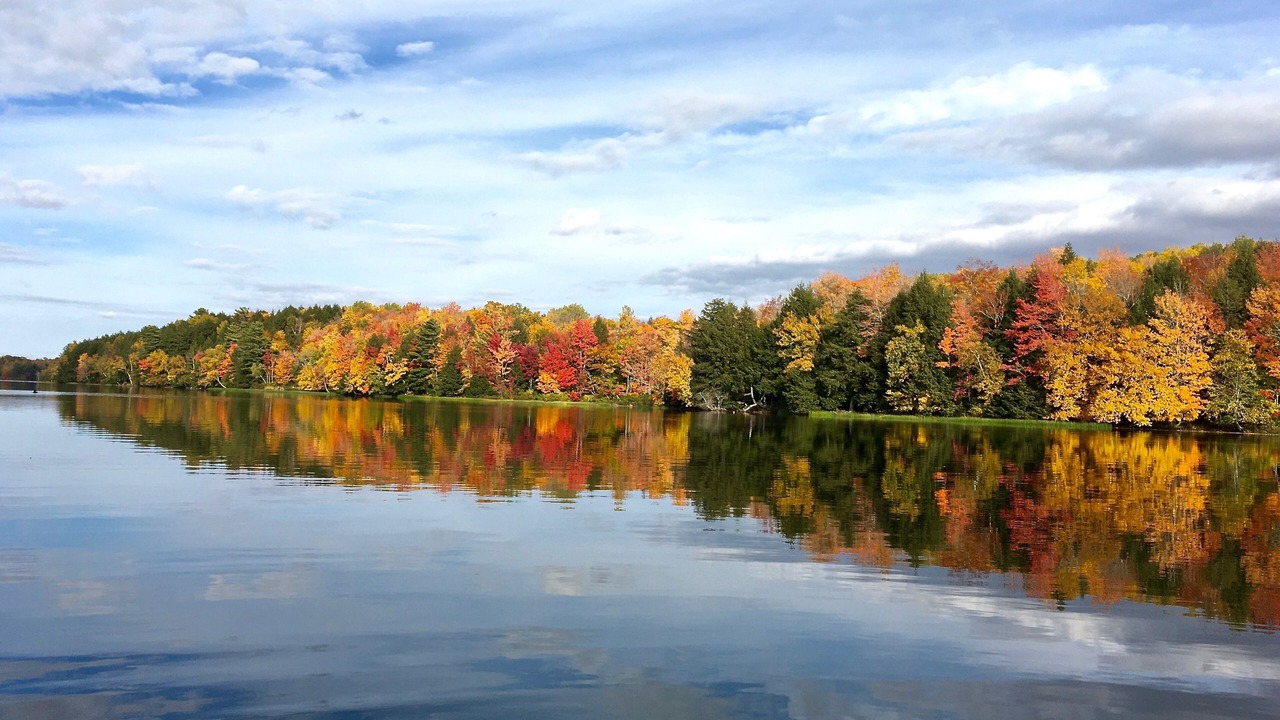 Photo of Others in Freedom