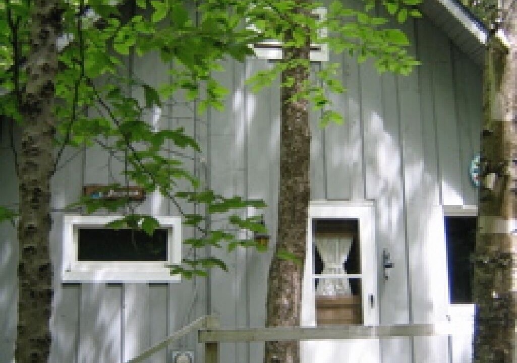 Photo of Outdoor in Freedom