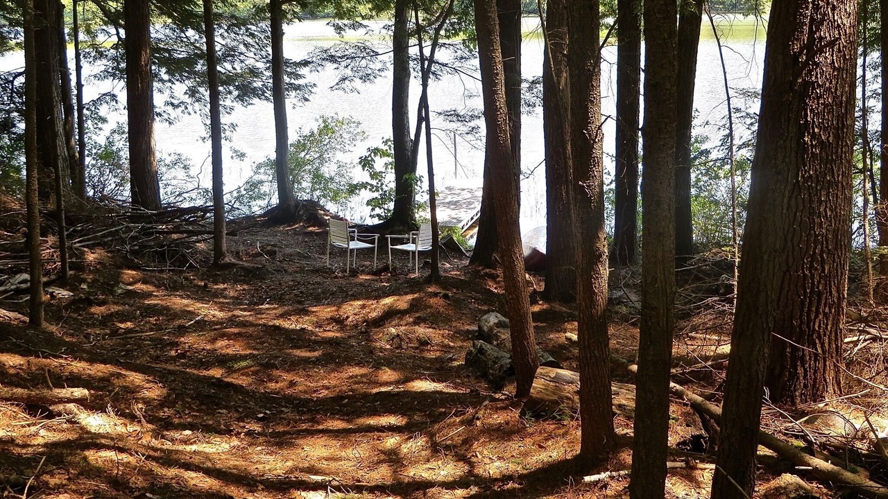 Photo of Outdoor in Freedom