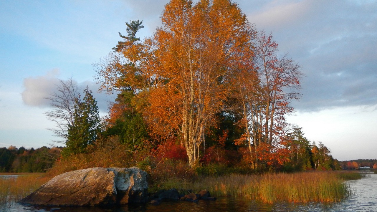 Photo of Others in Freedom