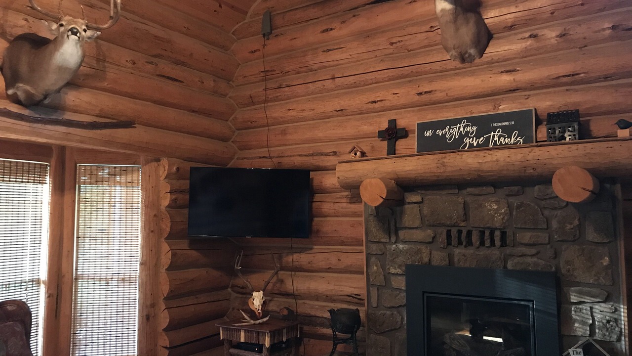 Photo of Livingroom in Hulbert