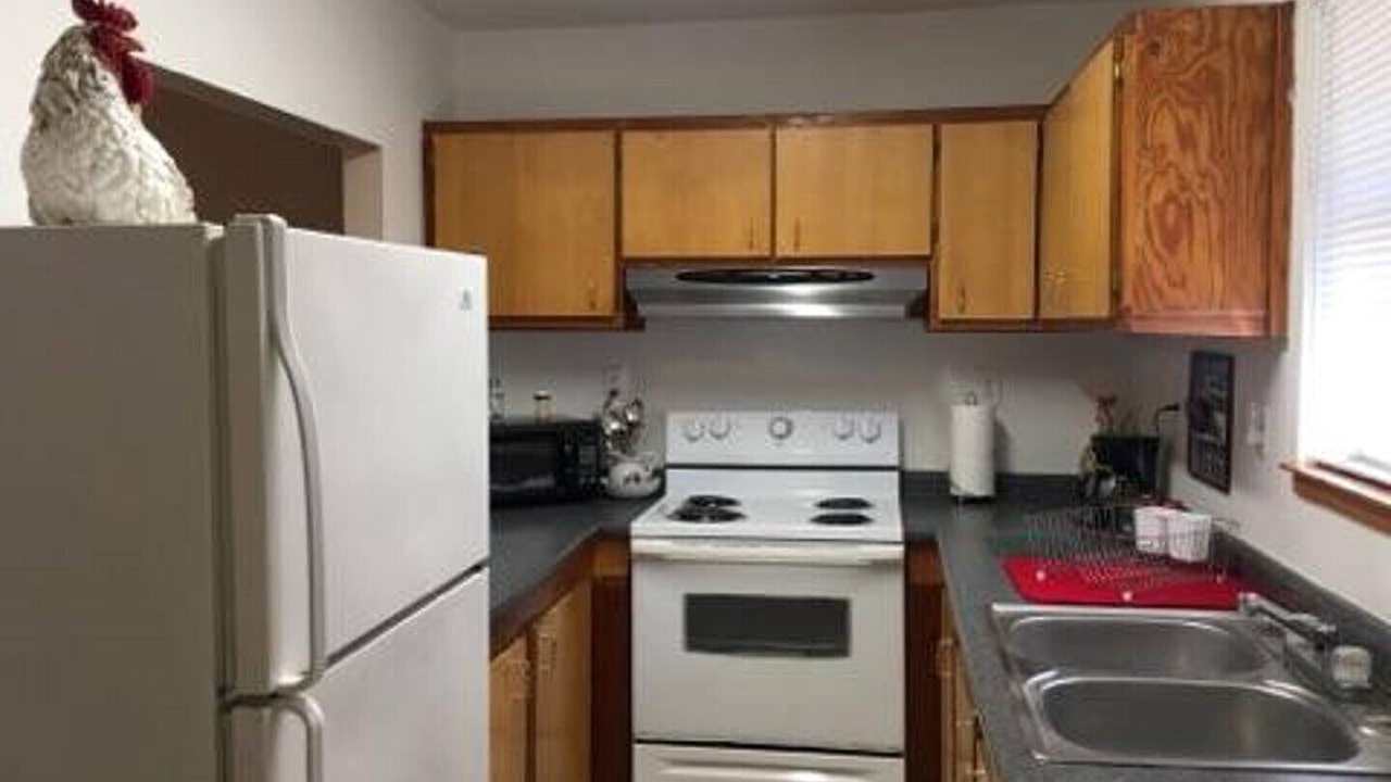 Photo of Kitchen in Lake City