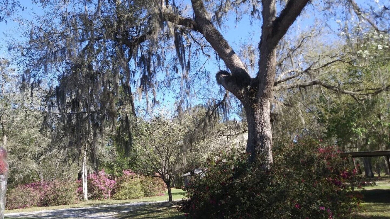 Photo of Outdoor in Lake City