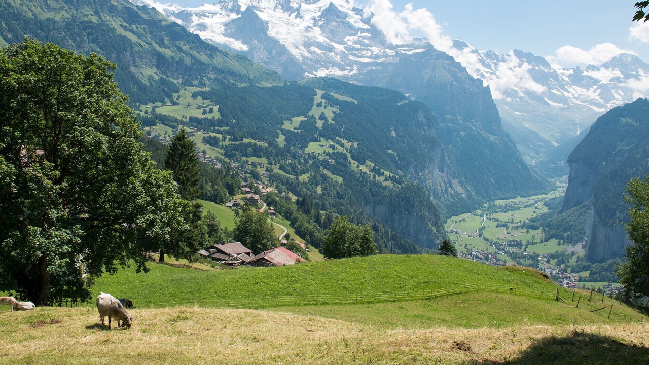 Photo of Others in Wengen