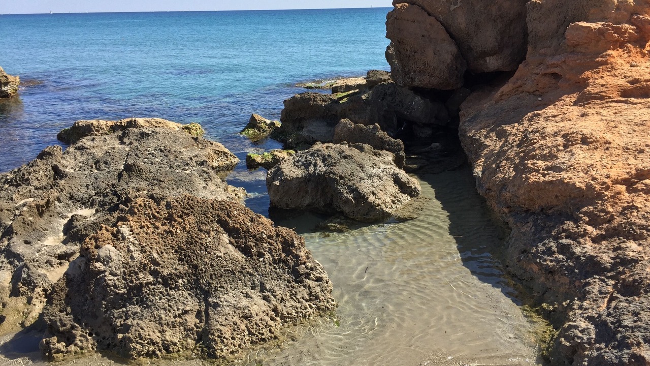 Photo of Others in La Zenia