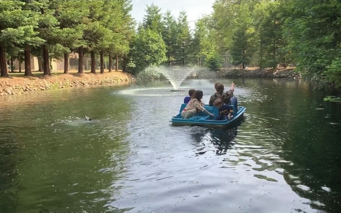 Photo of Others in Loomis