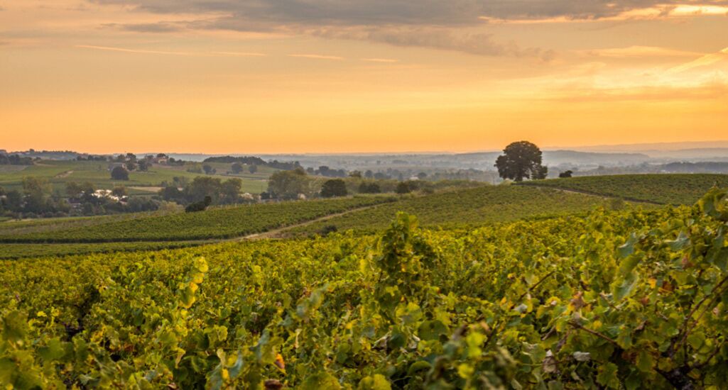 Photo of Others in Le Verdier