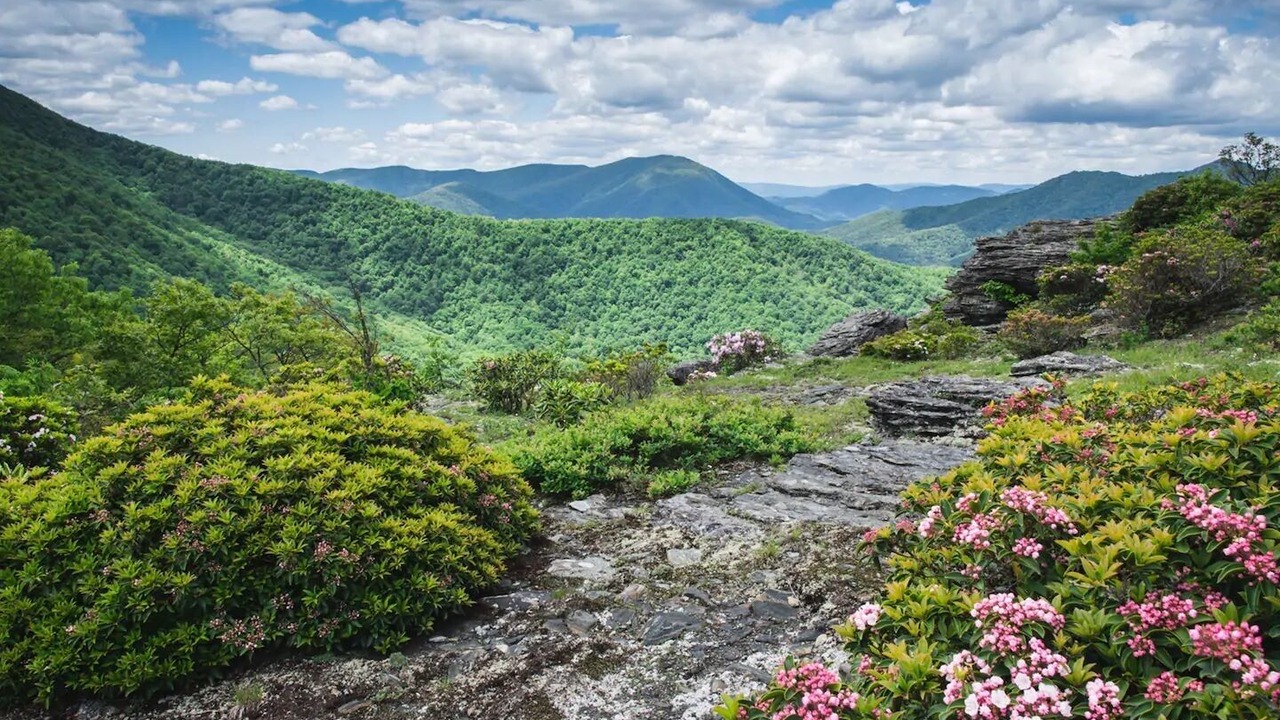 Photo of Outdoor in Seymour