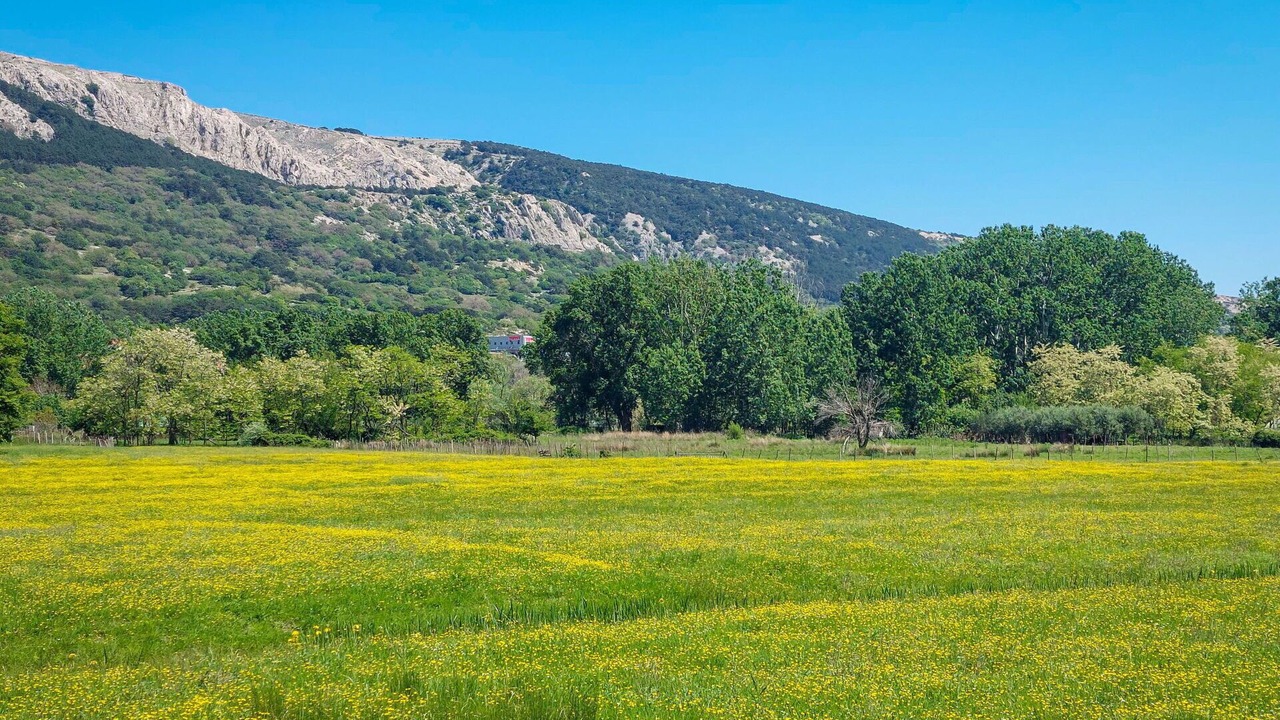 Photo of Others in Batomalj