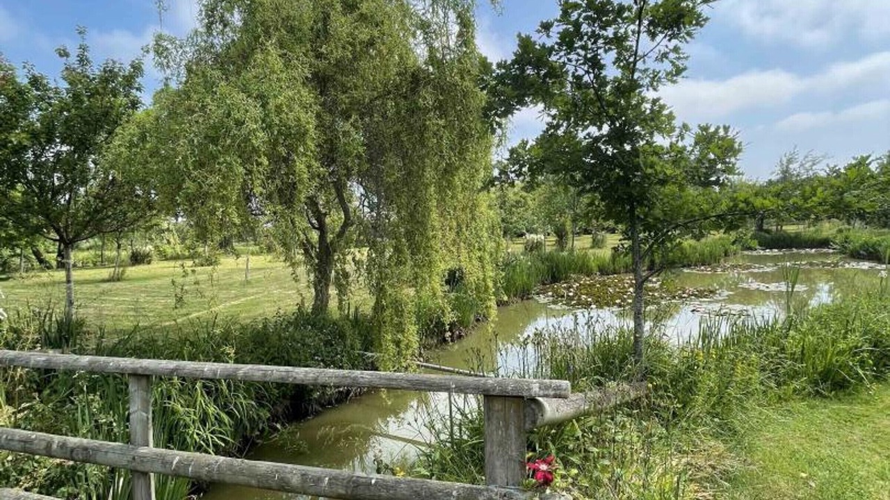Photo of Outdoor in Sarceaux