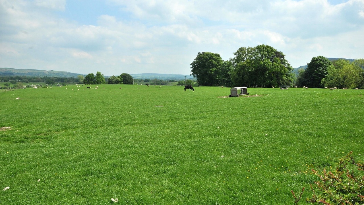 Photo of Others in Congleton