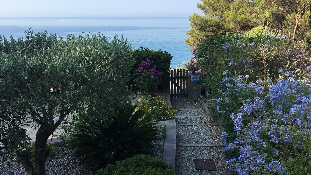 Photo of Outdoor in Saint-Mandrier-sur-Mer