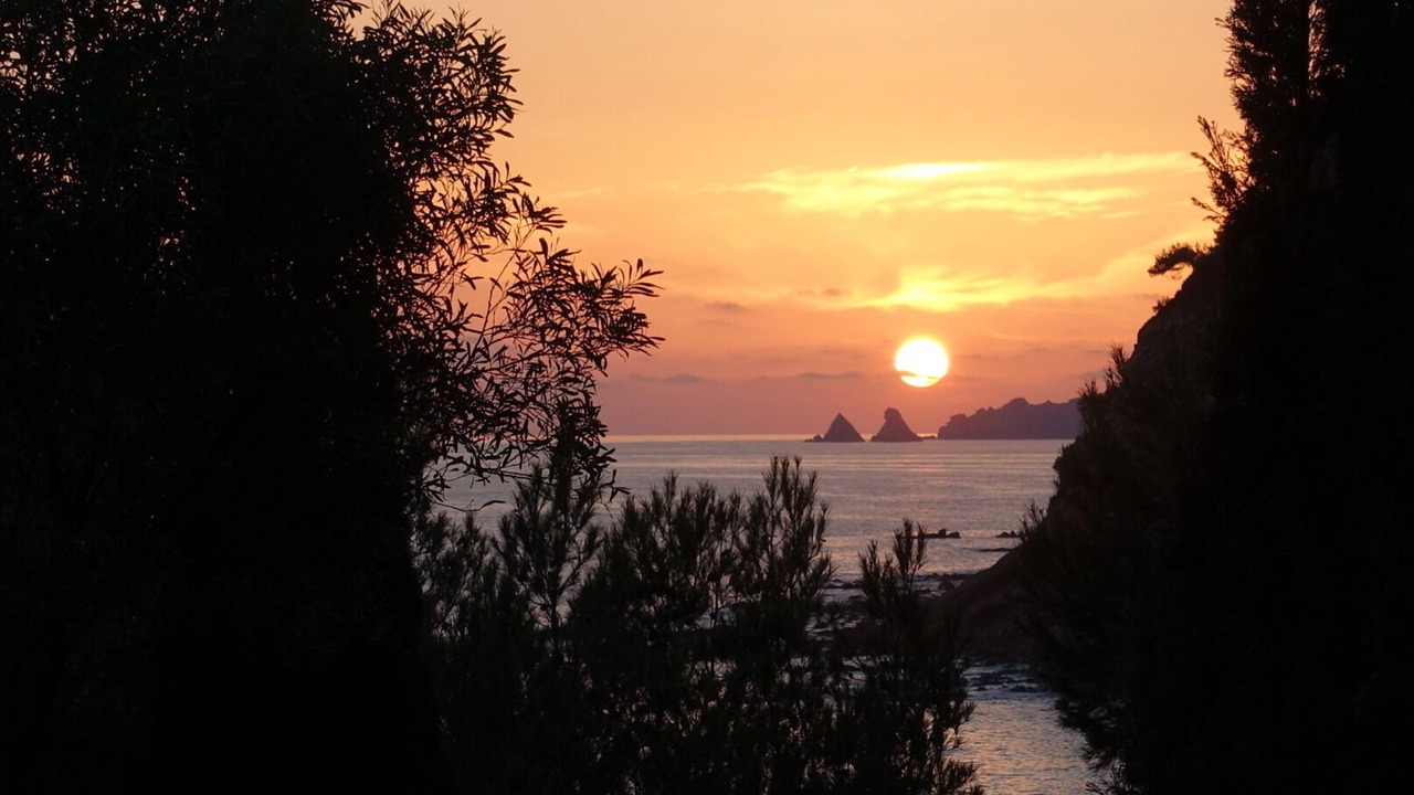 Photo of Others in Saint-Mandrier-sur-Mer