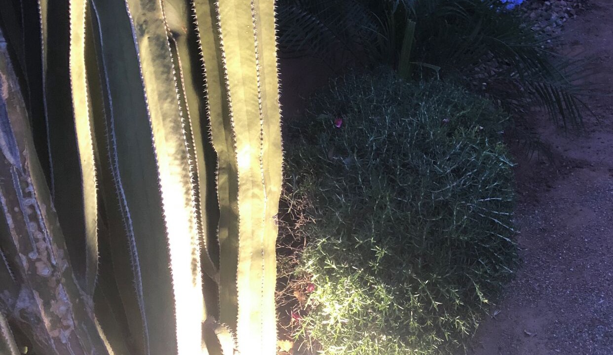 Photo of Others in Canyon Trails