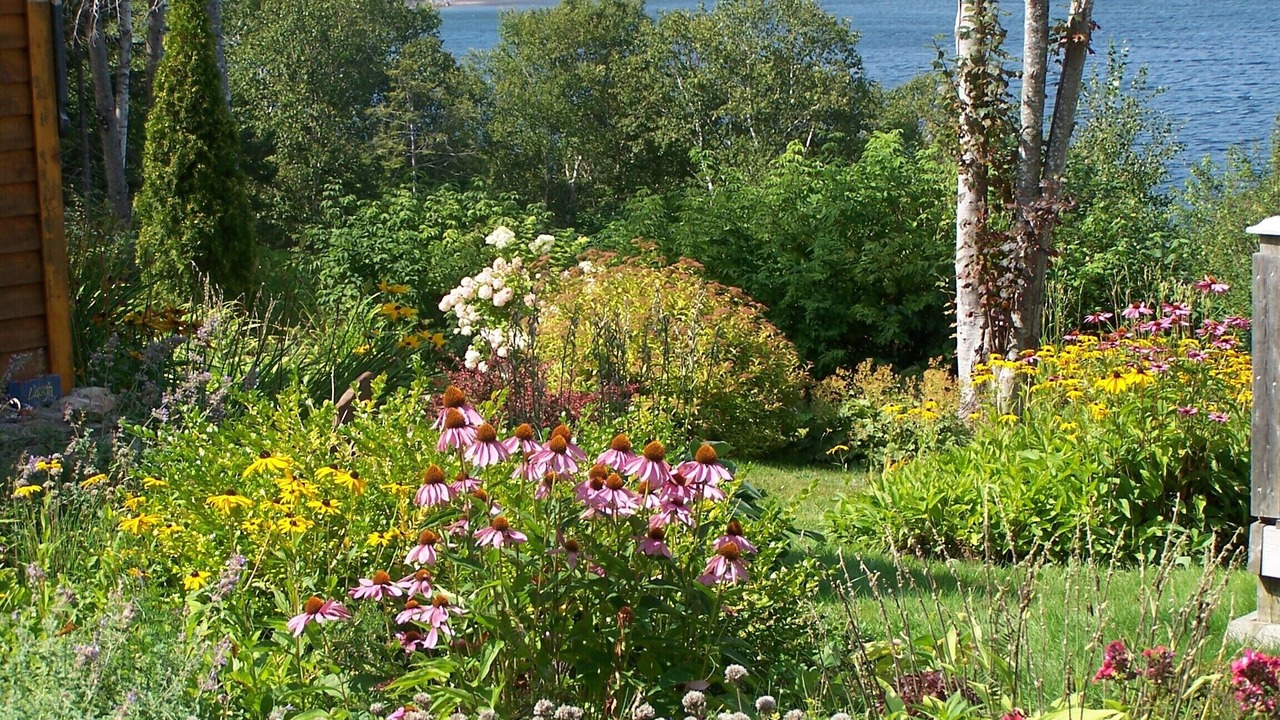 Photo of Outdoor in Boularderie