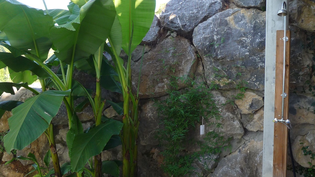 Photo of Outdoor in Montjoie-en-Couserans