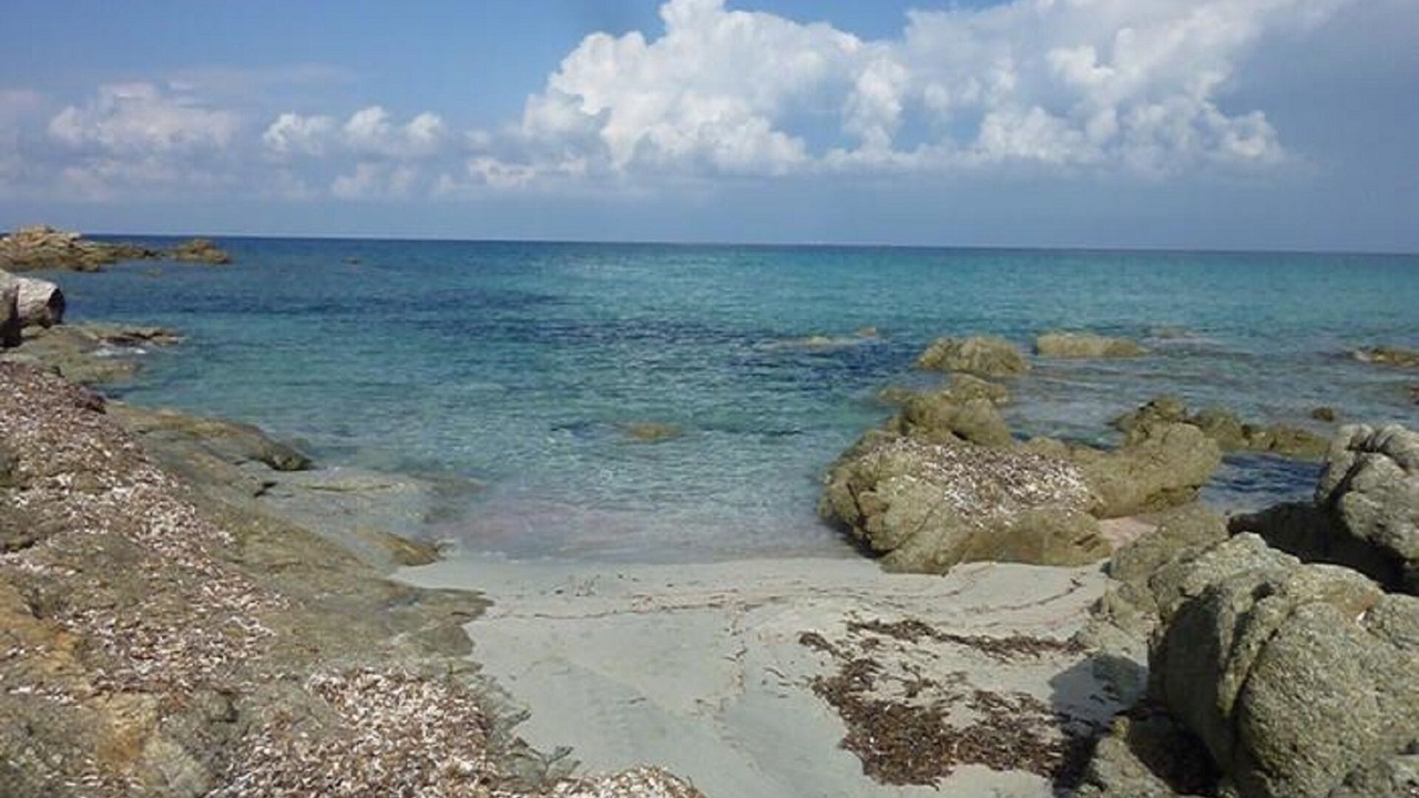 Photo of Others in Monticello