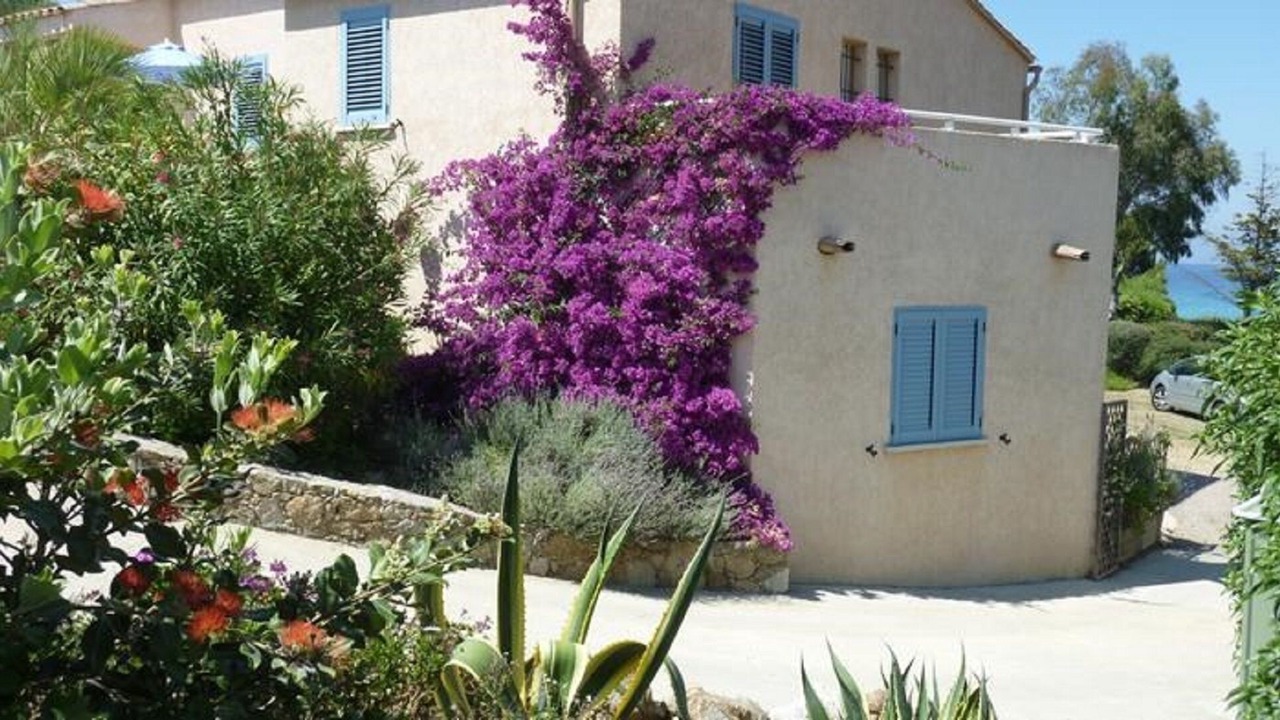 Photo of Outdoor in Monticello