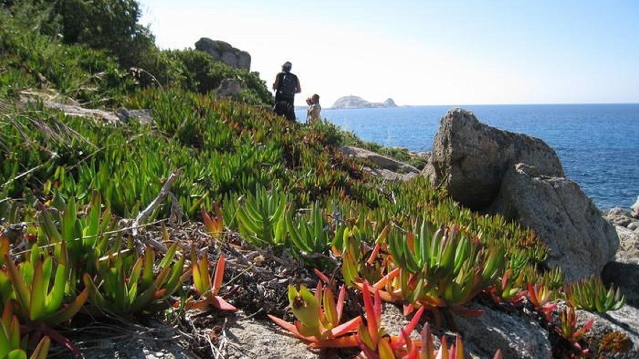 Photo of Outdoor in Monticello