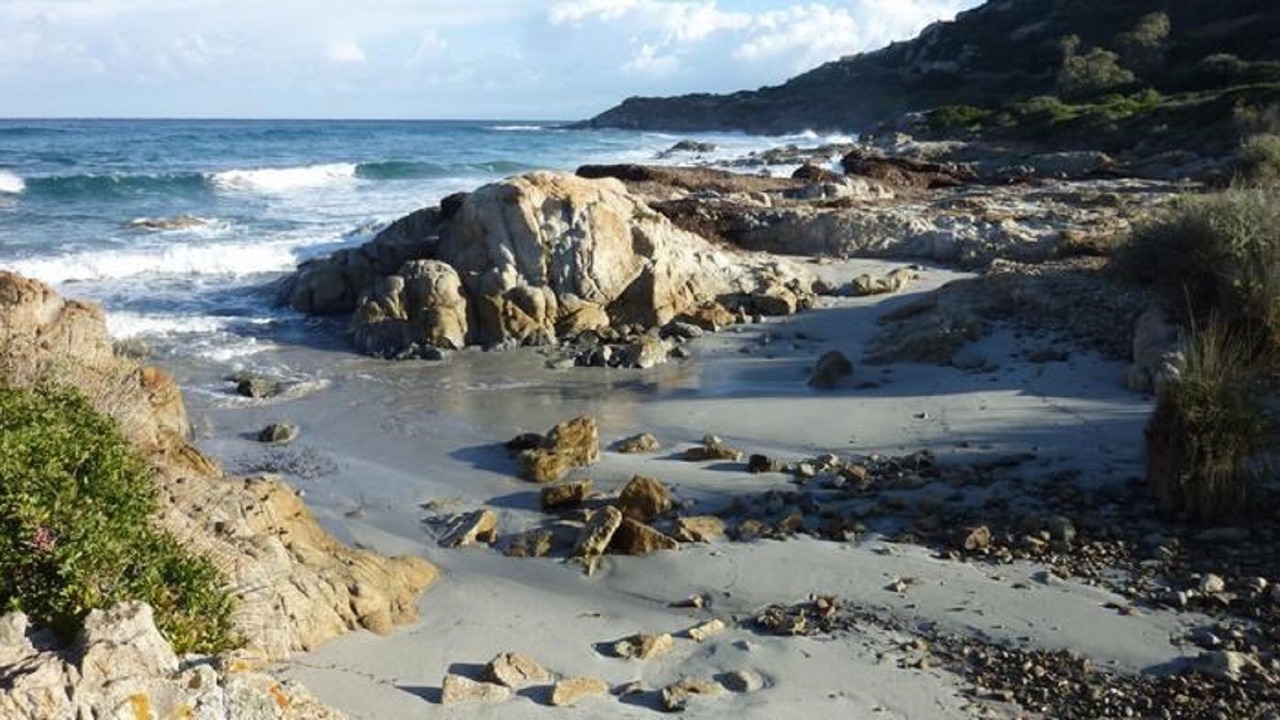 Photo of Others in Monticello