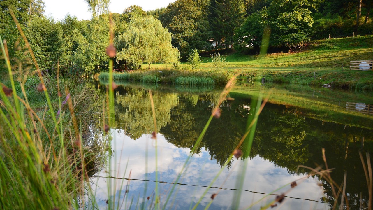 Photo of Outdoor in Ban-de-Sapt