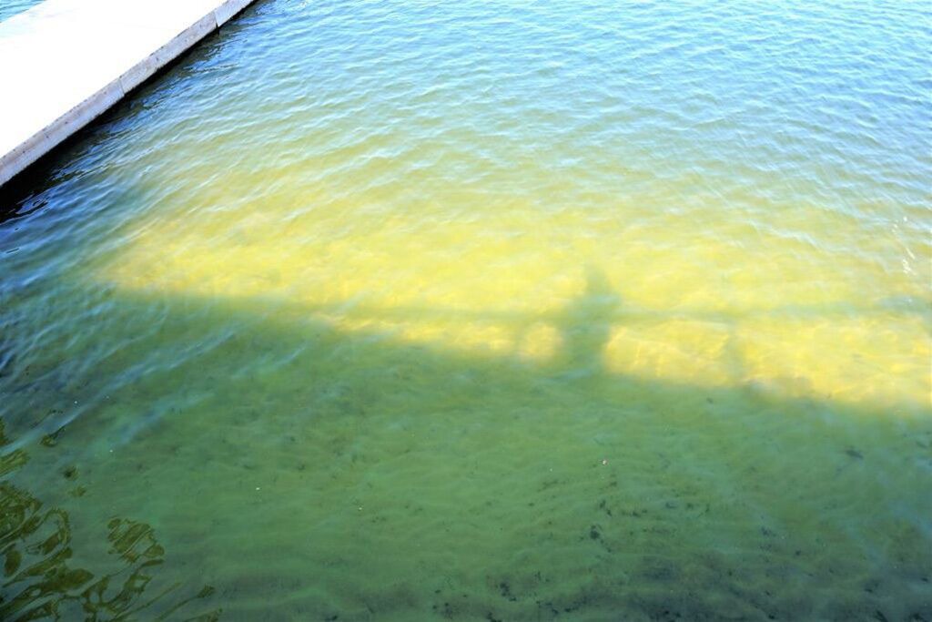 Photo of Others in Lake Park